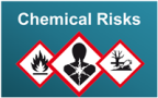 ILO Chemicals Convention Concerning Safety in the Use of Chemicals at Work