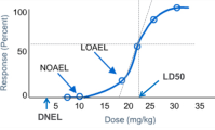 How to Derive Derived No-Effect Level (DNEL)