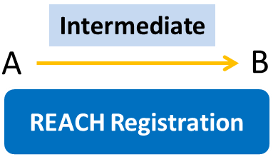 Comparison of Intermediate Registration Requirements in EU, USA, China, Japan and Korea