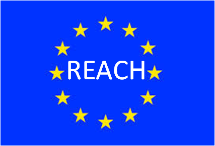 REACH Annex XVII: REACH Restricted Substance List 2021